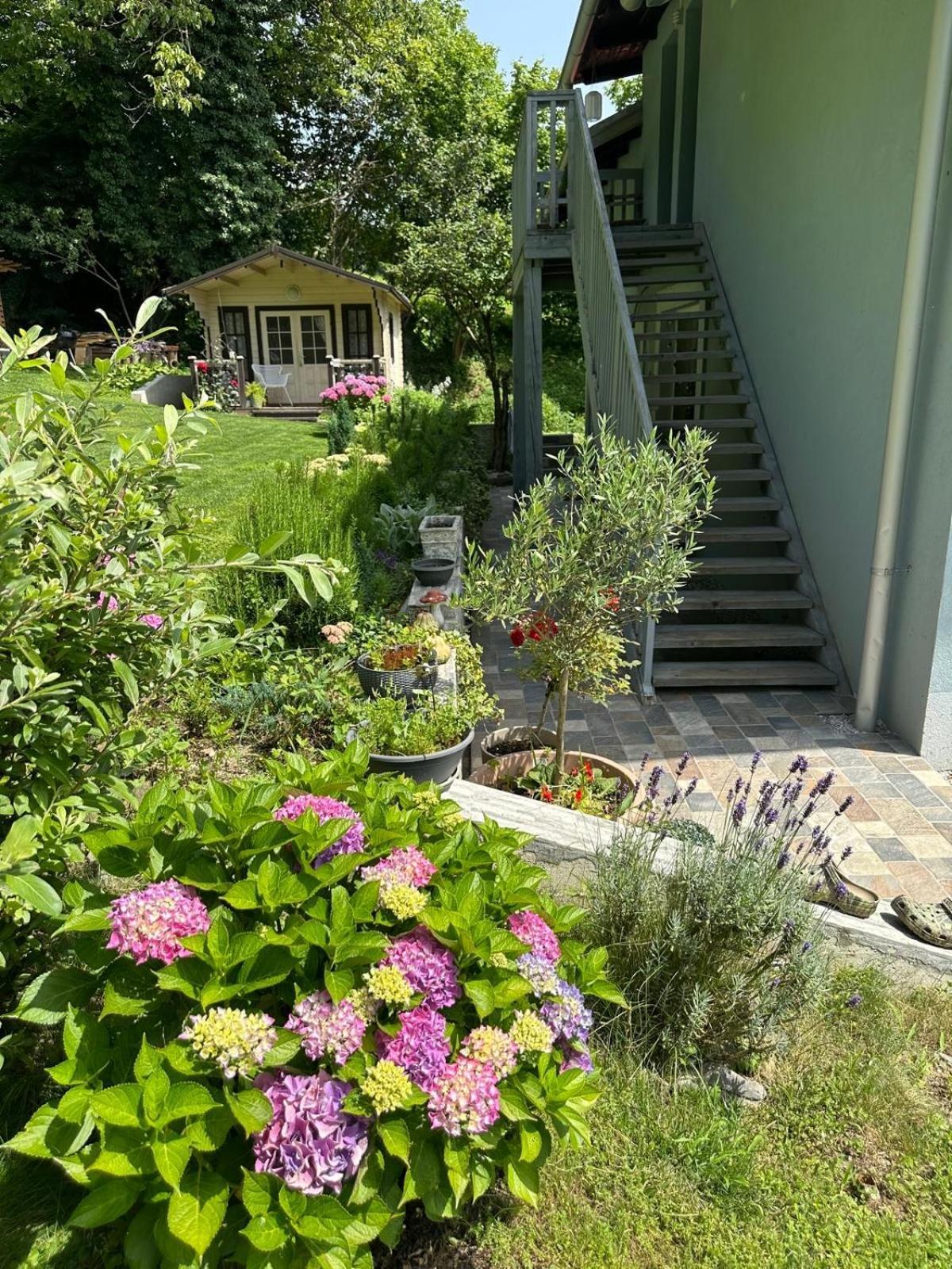 Lizmari Apartamento Podčetrtek Exterior foto